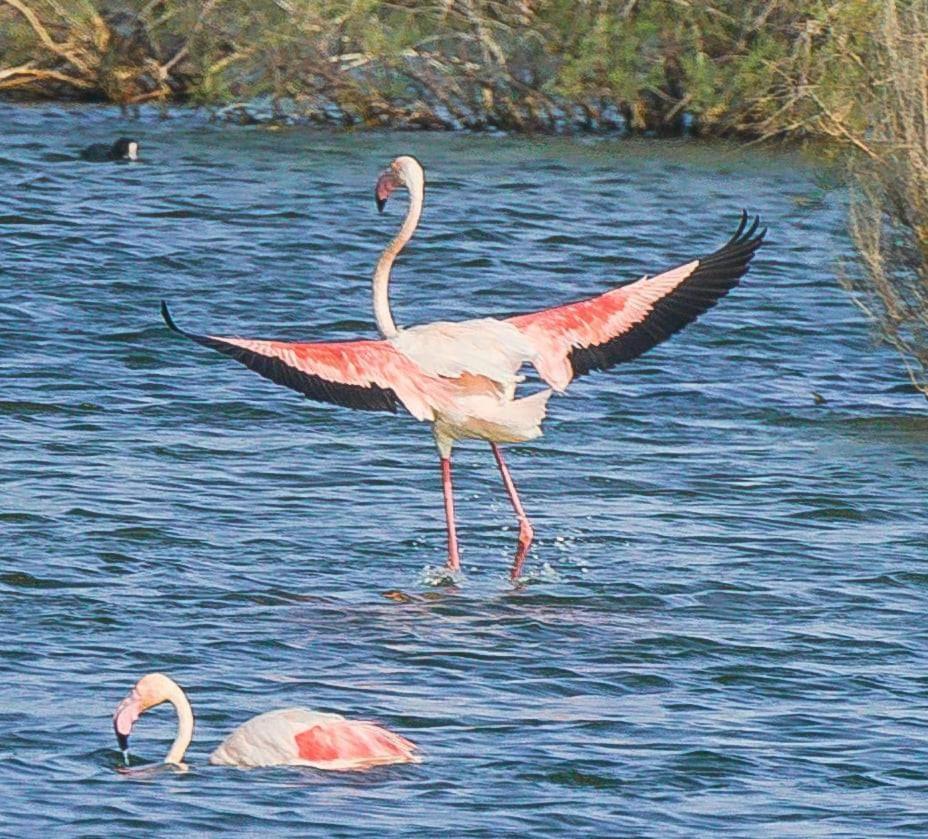 Rincon Del Salar Daire Playas de Vera Dış mekan fotoğraf