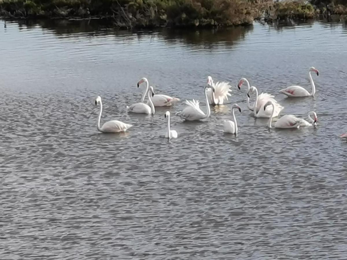 Rincon Del Salar Daire Playas de Vera Dış mekan fotoğraf